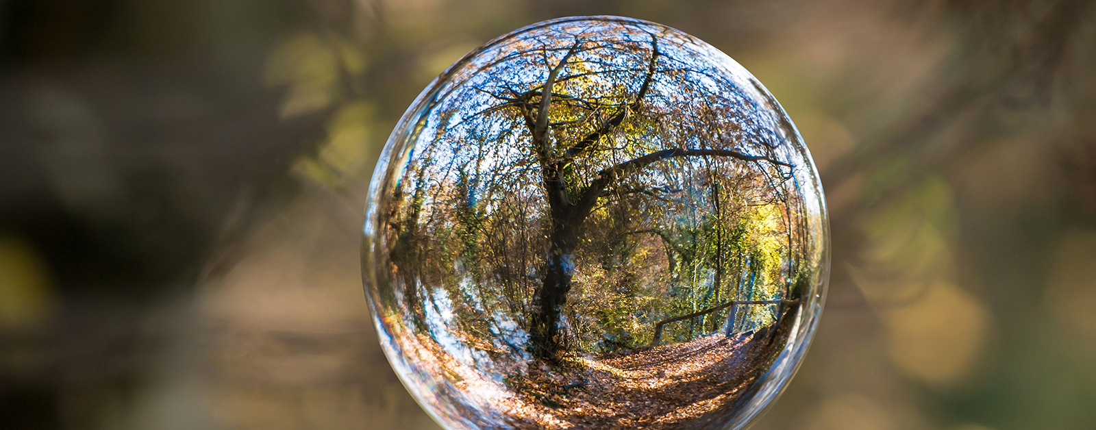 未来環境創造協会