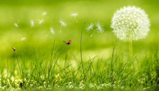 協会員について