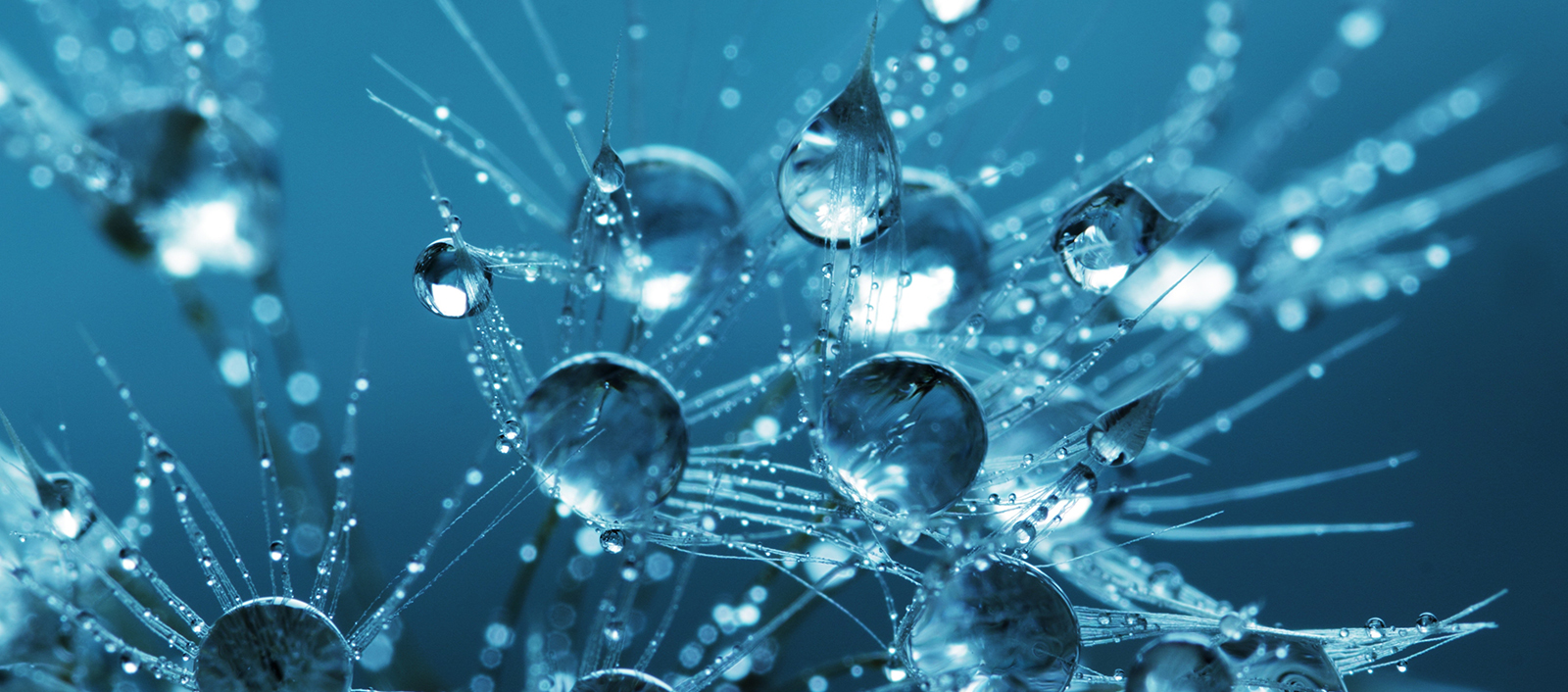 未来環境創造協会